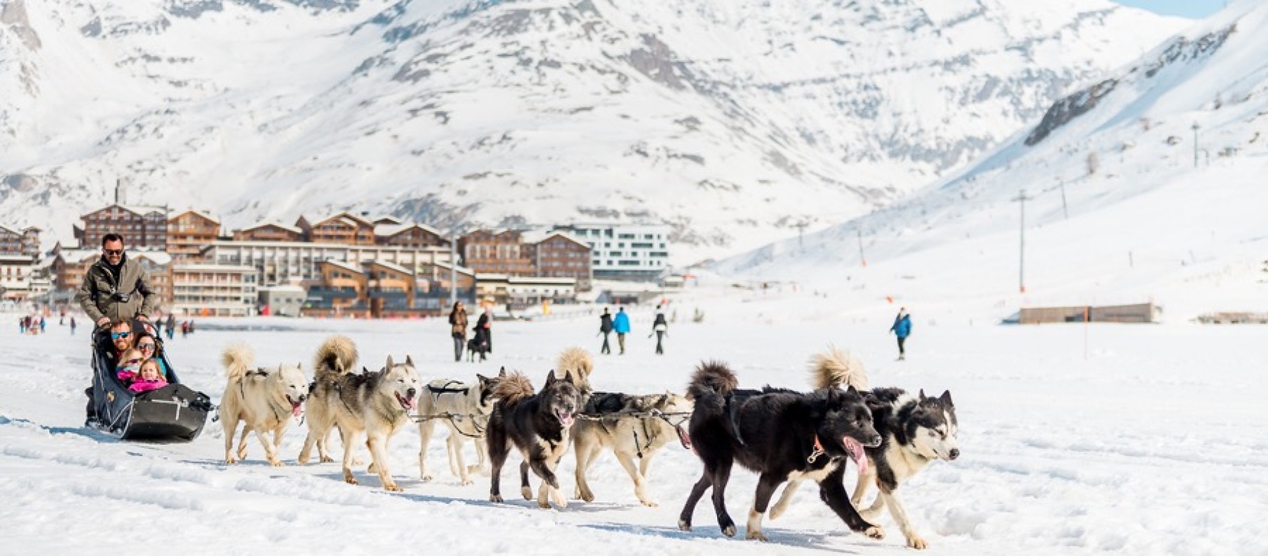 Dog Sledding In Tignes